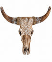 Sumba Skull