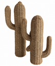 Saguaro Cactus Set