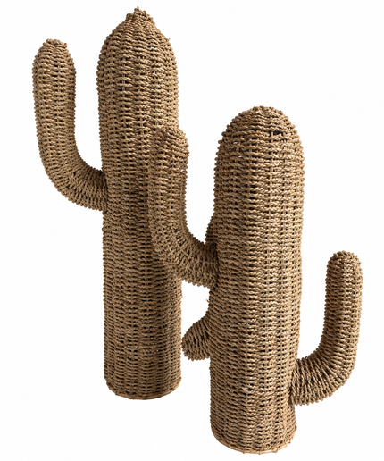 Saguaro Cactus Set